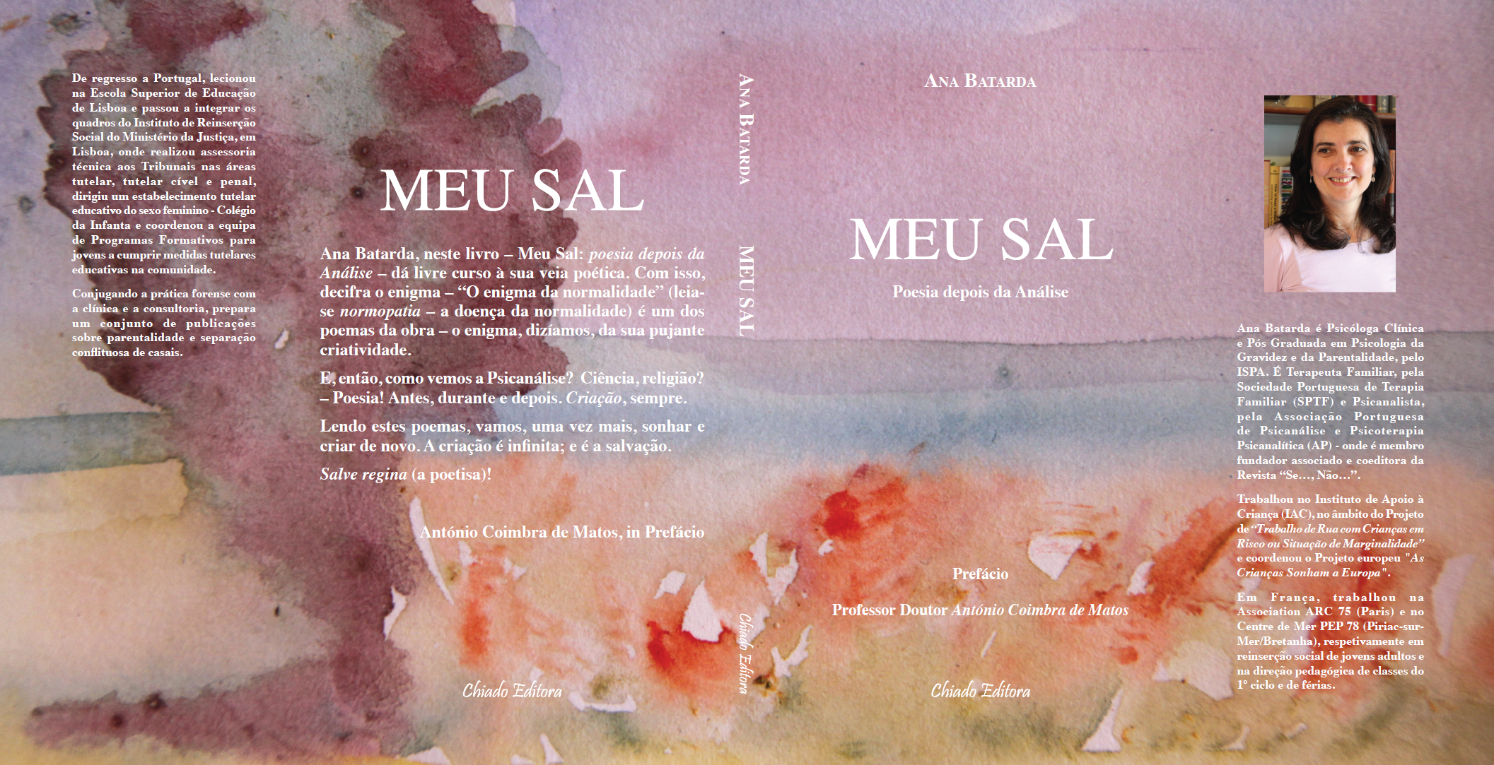 Meu Sal - Poesia depois da Análise